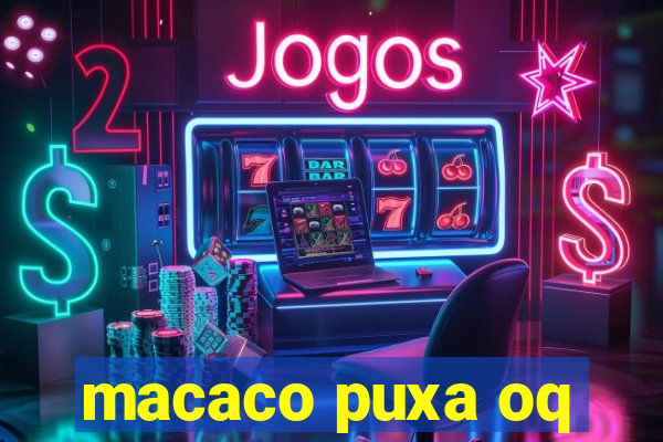 macaco puxa oq